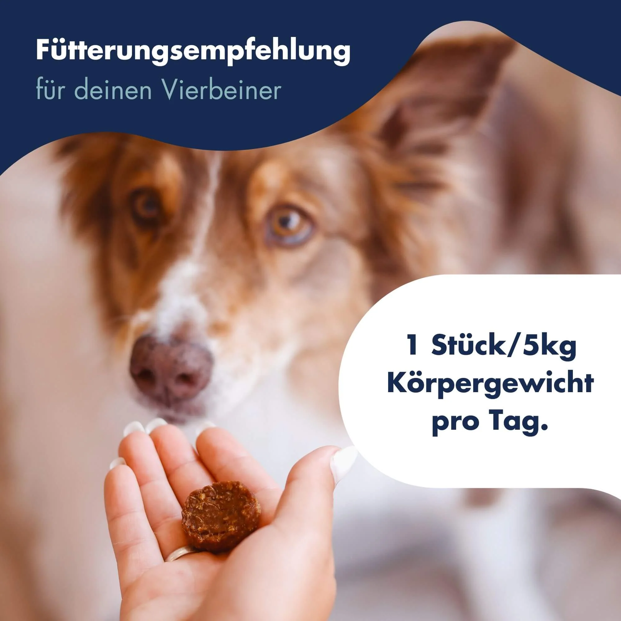 Dr Clauders Functional Coins Yoga Flex, unterstützt Bänder, Gelenke & Beweglichkeit, getreidefrei (Truthahn 93%, NEM, Teufelskralle, Hyaluronsäure) – Bild 3