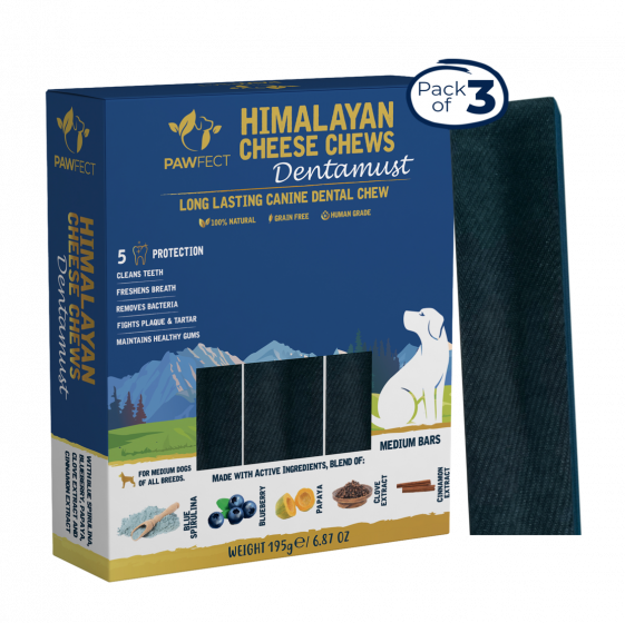 Pawfect Himalayan Cheese Dental Chew Bar mit Blauebeere, Spirulina, Papaya, Zimt, Nelken (1 Riegel à 140g)