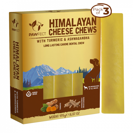 Pawfect Himalayan Cheese Dental Chew Bar mit Kurkuma und Ashwagandha gut fürs Immunsystem (1 Riegel à 65 g)