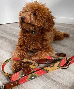 Verstellbare Leder/Stoff-Leine, Scooby