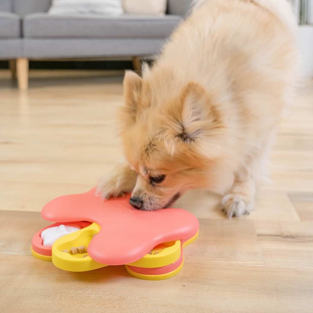 Intelligenzspielzeug Dog Tornado Nina Ottosson Hundespielzeug, mit 8 Leckerli-Fächern, 2 Ebenen, bpa-frei (Level 2), rosa/gelb, small, 20cm – Bild 4