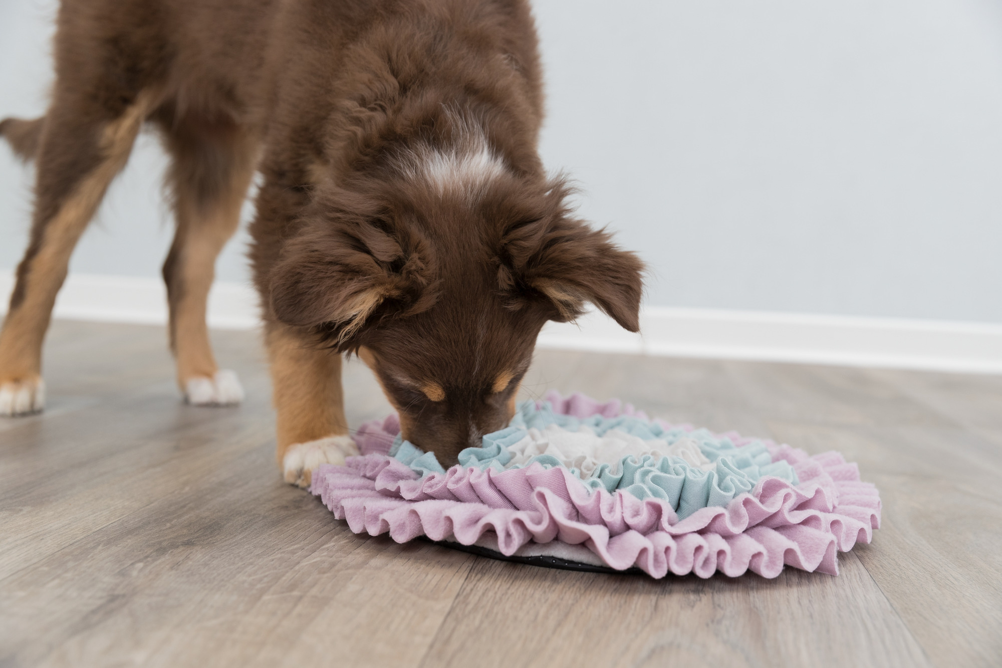 Junior Schnüffelteppich, ø 38 cm (pastell Farben) – Bild 3