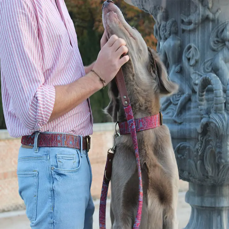 Leder/Stoff-Halsband, Cholo (XL) – Bild 4