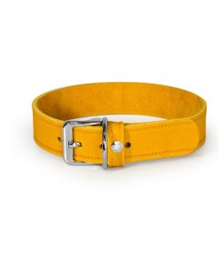 Das Lederband, Hundehalsband Weinheim, weich und anschmiegsam, gute Griffigkeit, Echtleder aus Deutschland, Yellow (27-62)