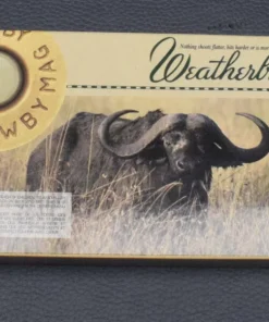 20 Weatherby Patronen Kal.416 Wby.Magn Barnes-X Solid 350 gr, Sonderpreis