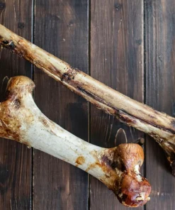 Straußenknochen,100 % Strauß, für größere und kaufreudige Hunde geeignet, einzeln, Unterschenkel 50cm