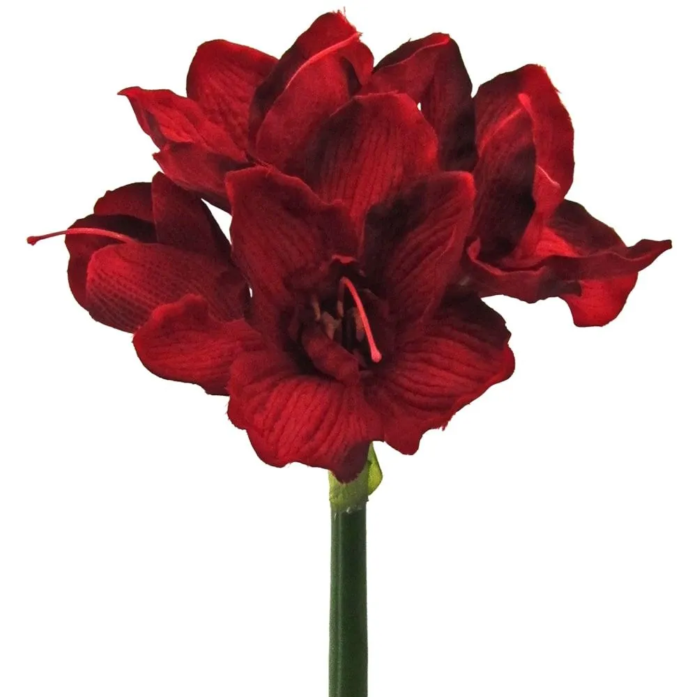 Amaryllis Kunstblumen mit 3 Blüten & 1 Knospe Ø 18 cm Kunstpflanzen 1 Stk 2 Farben – Bild 4