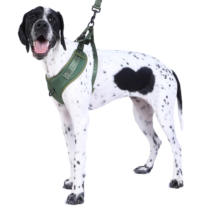 DOOG Neosport Softgeschirr, olive (mit Brustring, weichem perforiertem Neopren, wasserfreundlich) S, XL – Bild 5