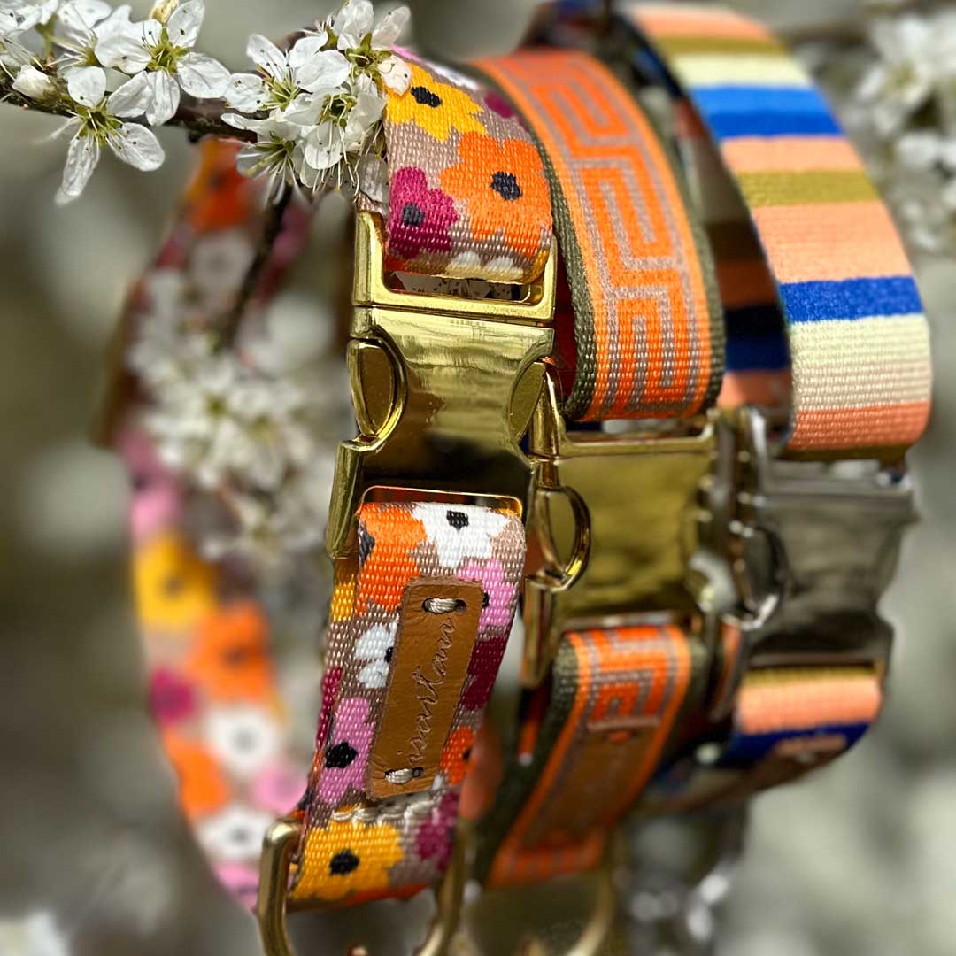 Isartau Hundehalsband „Sommerbrise“ (made in Bayern, aus recycelten PET-Flaschen, 30°C waschbar), XS, XL – Bild 7