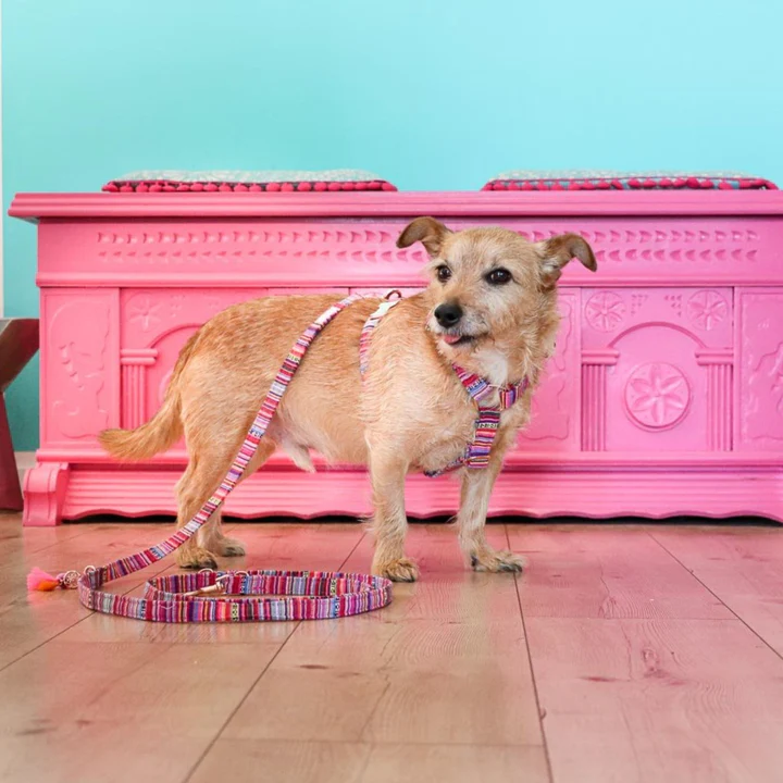 Pellina Hundegeschirr „Boho Pink“, gold, (100% Baumwolle) S, M, L – Bild 3