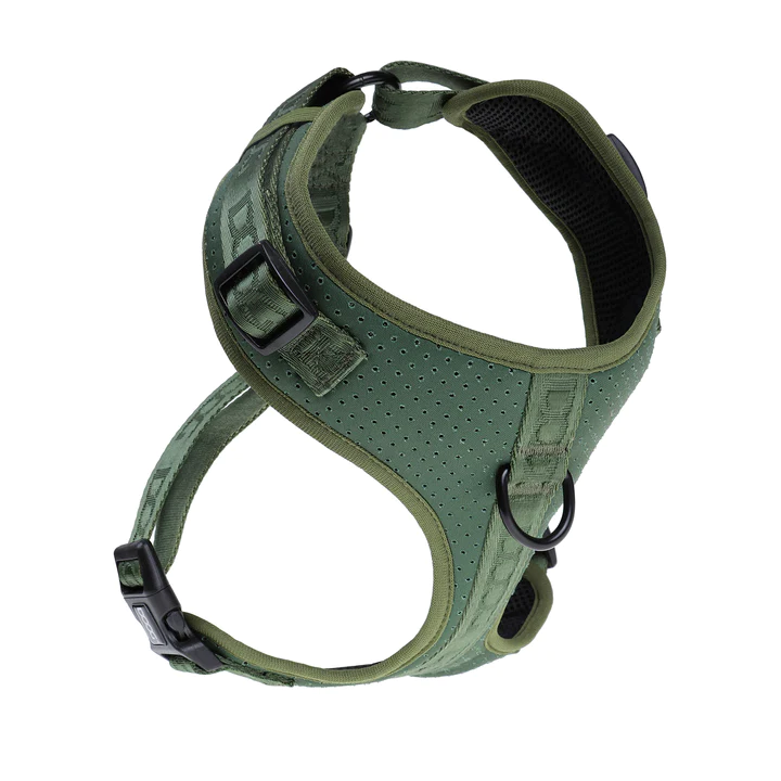 DOOG Neosport Softgeschirr, olive (mit Brustring, weichem perforiertem Neopren, wasserfreundlich) S, XL