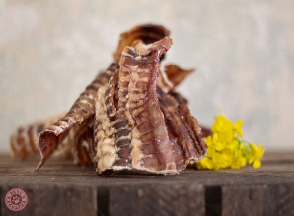 Rinderluftröhren geschnitten luftgetrocknet (12cm) – Bild 2