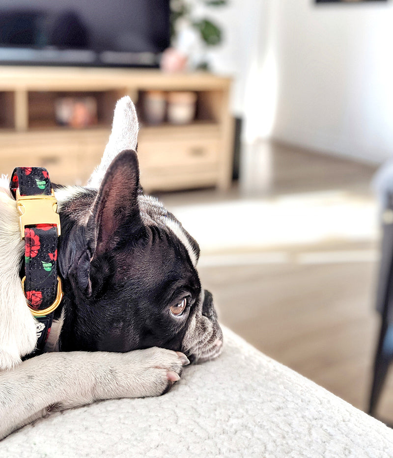 Stoff-Halsband „Rose“ – Bild 3