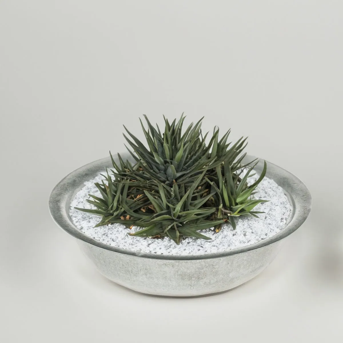 Runde Zinkwannen als Pflanzschalen Metall-Schalen in 2 Größen – Bild 9