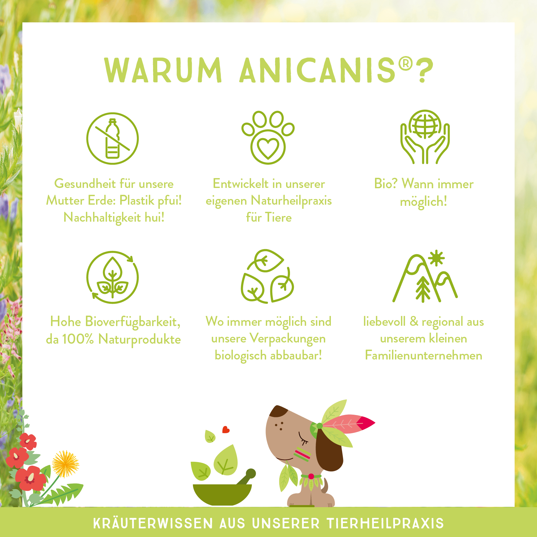 SÄUREVERBANNER (Bio-Magenkräutermix für grasfressende Hunde) – Bild 4