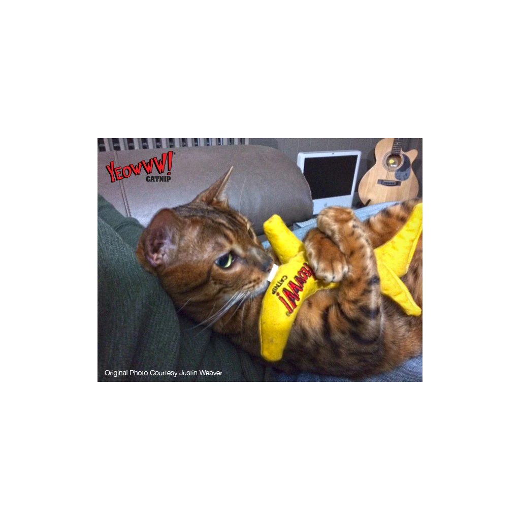 Katzenspielzeug – Yeowww! Chicata Banana, gefüllt mit Katzenminze, biologisch angebaut, keine Füllstoffen wie z.B. Polyester, 17cm – Bild 4