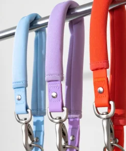 Springer Hundeleine, strapazierfähig, wasserdicht und geruchsabweisend mit komfortablem Neoprengriff, 2-fach verstellbar, 1,52m (lila, hellblau)