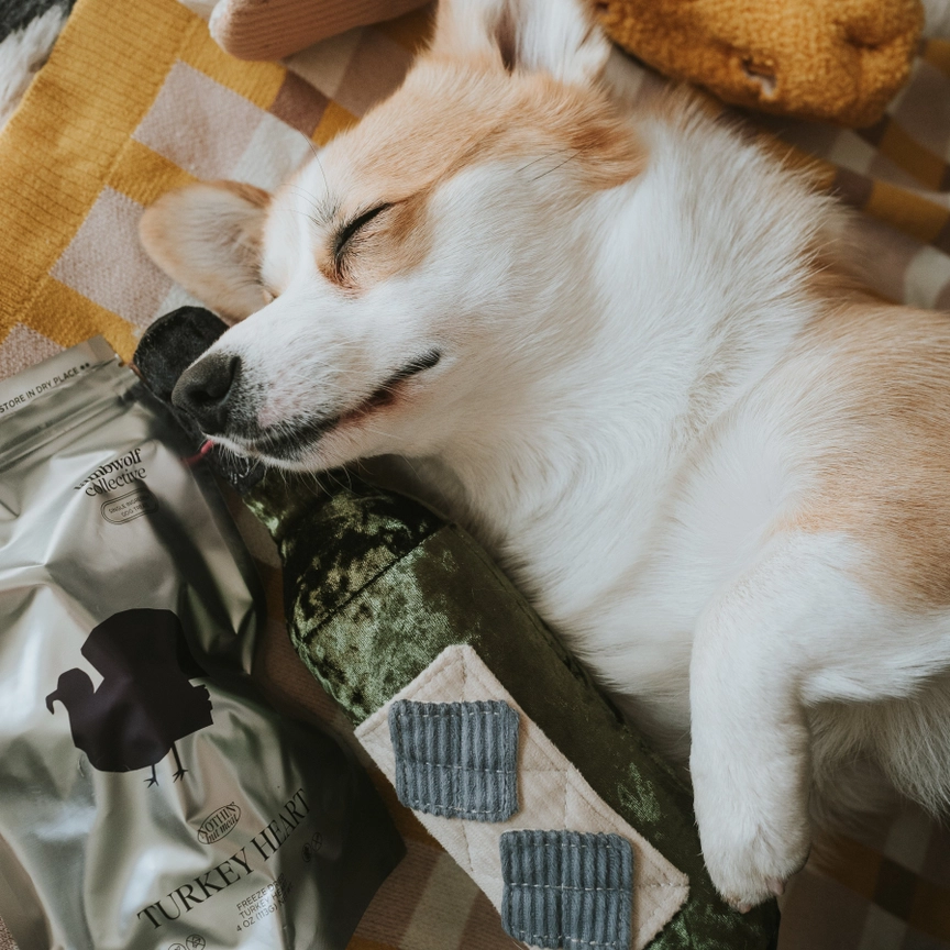 Lambwolf Schnüffel-Merlot, quietscht, mit Versteckmöglichkeiten, ca. 30x6cm – Bild 5