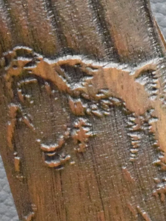 Colt 1911, Targetgriff, Ausführung 13, Bär, Nußbaum – Bild 5