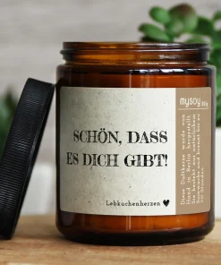mysoy Duftkerze, handgemacht in Berlin, 100% Sojawachs, hochwertige Duftöle, „Schön dass es dich gibt“, Lebkuchenherz