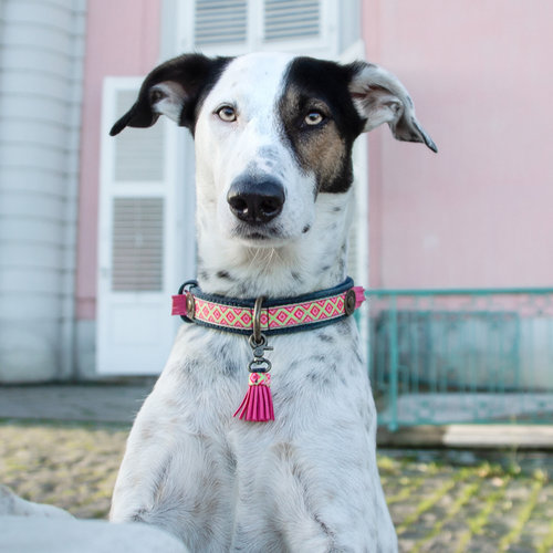 DWAM Sandy Moon, Denim, Vegan (L) – Bild 4