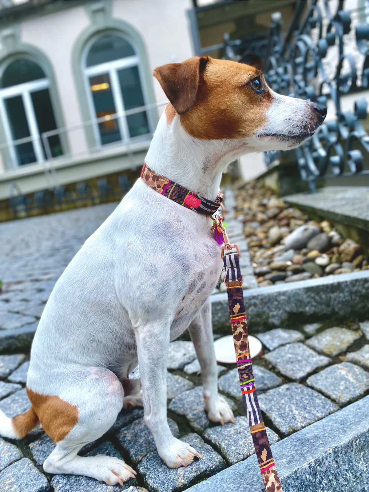 PELLINA Halsband „Freaky Animal“, gold, 100% Baumwolle (L) – Bild 3