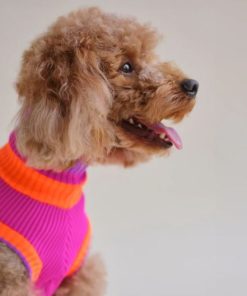 lumiies® THE GLOW JUMPER, ELECTRIC SUNSET Neonfarben, Spezialgarn, schnelltrocknend, speichert Wärme, hochelastisch, waschbar (1, 1a, 2, 2a, 3, 4, 6)