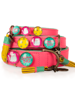 DWAM Leder-Halsband „Miami Spice“, inkl. 3 abnehmbaren Knöpfen (M, 2,5cm)