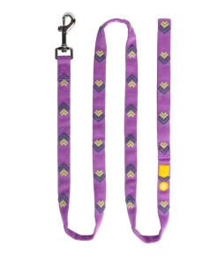 Woolly Wolf „Nordlicht“ Leine, 100% recyceltes Polyester, 150cm mit Handschlaufe