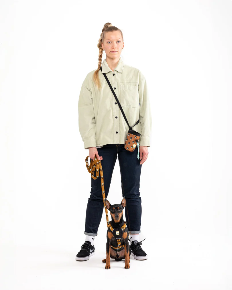 Woolly Wolf „Sea to Summit“ Hundegeschirr, 100 % recyceltes Polyester, 5-Punkt-Einstellung (XXS, XS, S, M, L) – Bild 4