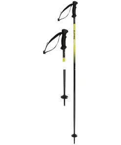 ALPINE PRO, Ski Pole