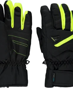 GARY AS(R) glove ski alpine black.poison yellow